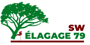 elageur-sw-elagage-79